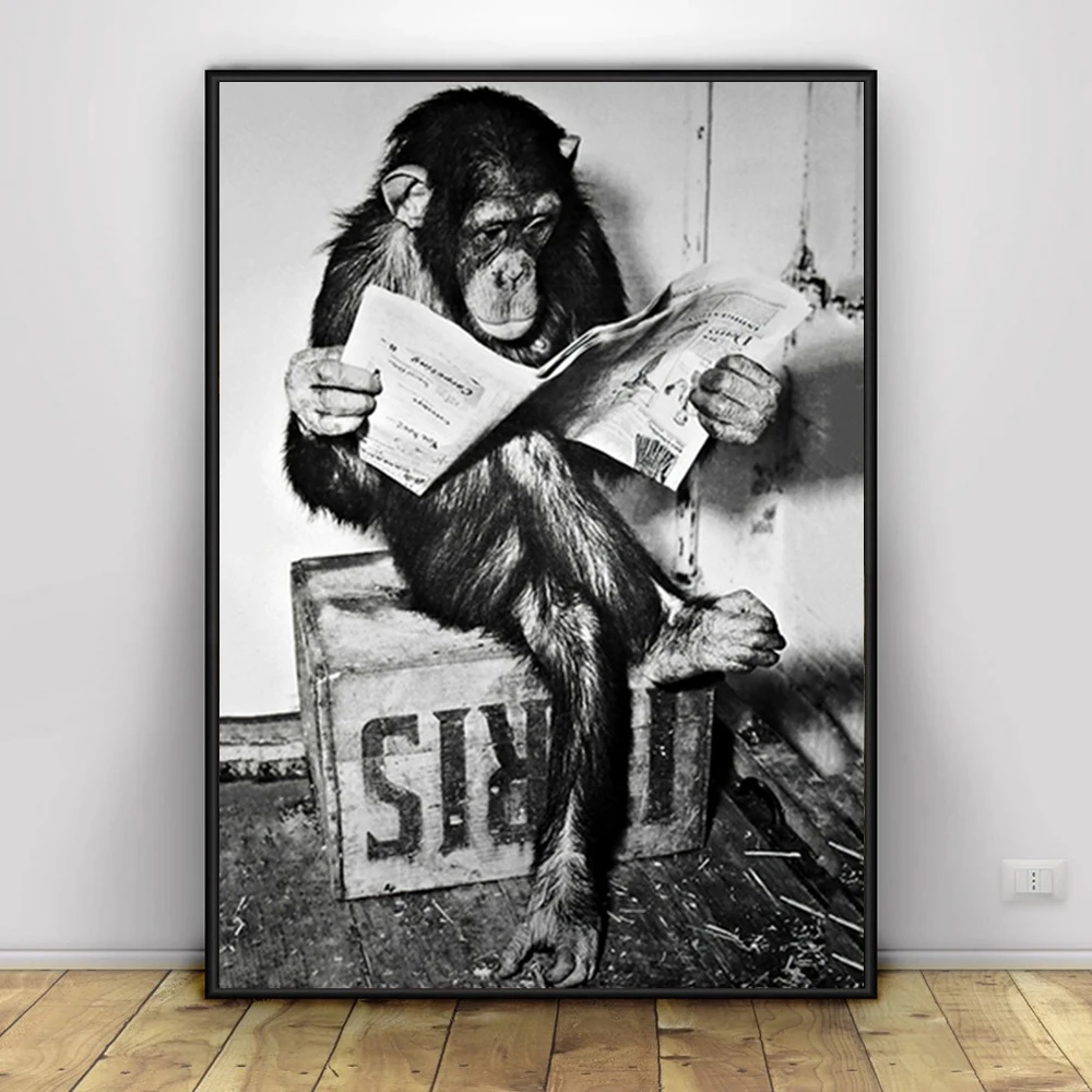 

Black White Funny Monkey Posters and Prints Picture Animal Reading Newspaper Wall Art Painting on Canvas Washroom Restroom Decor