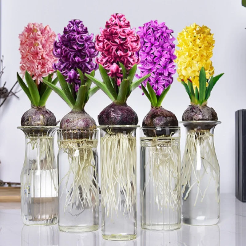 Ручная работа гидропонное стекло ваза специальная бутылка для культивирование