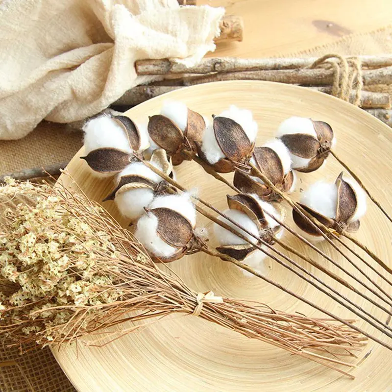 1pcs Decorative Dried Flowers Natural Cotton Branch Small Plants Stems Flores Secas For Home Wedding Party Decoration | Дом и сад