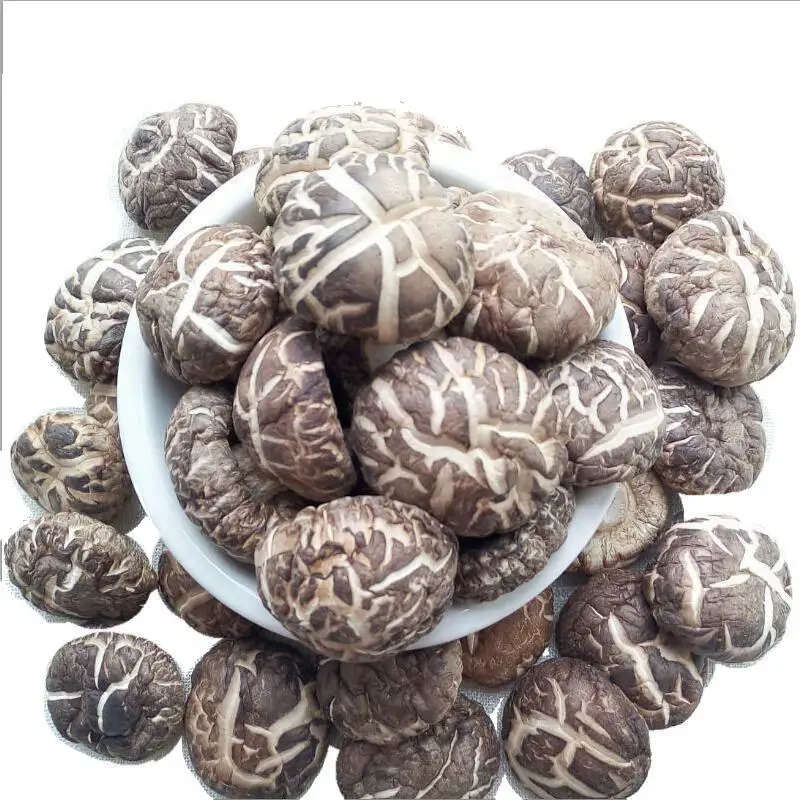 

Dried Mushroom,Dried Whole Shiitake,Dried Shiitake Mushrooms,Xianggu Mushroom,Shii-take,Champignon Powder