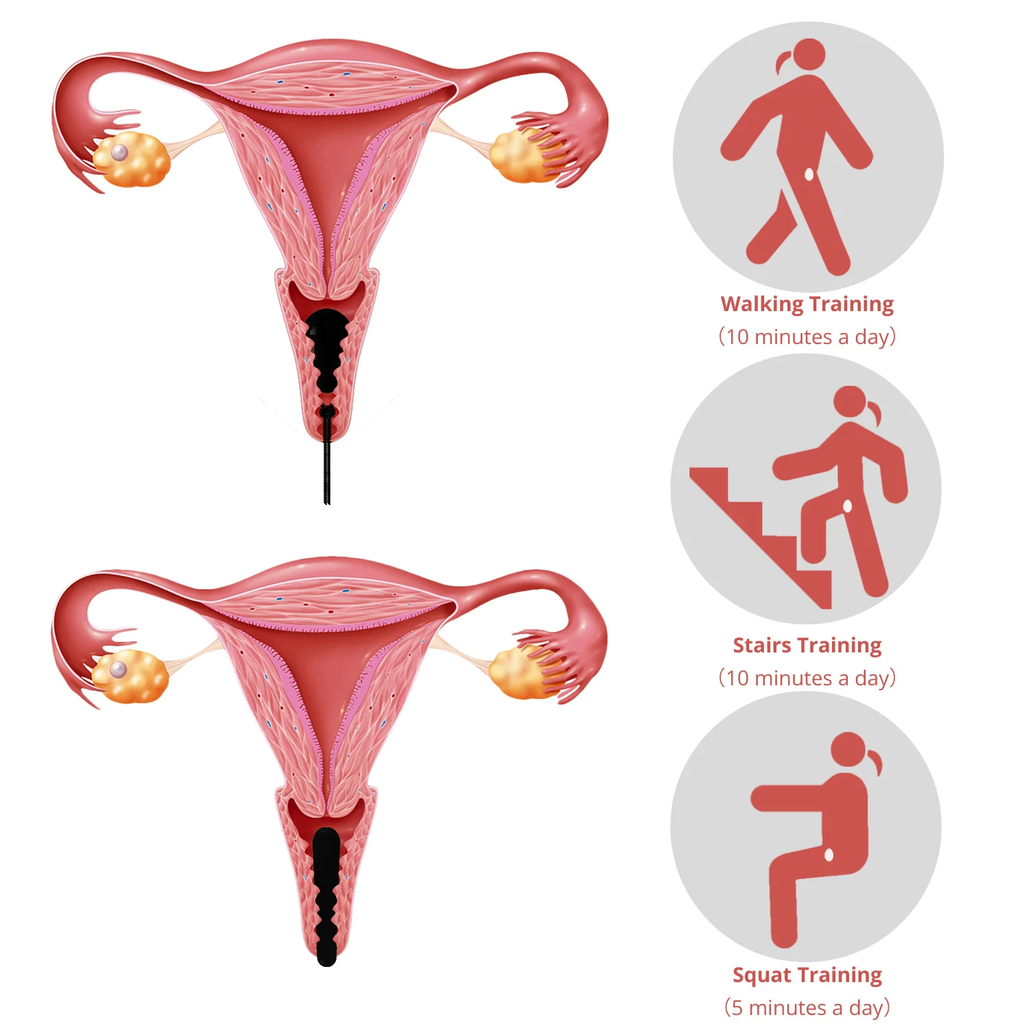 

Obsidian Yoni Egg and Wand Set Natural Real Stone Drilled and Undrilled Black Crystal Eggs for Kegel Exercise Massage Stick Kit