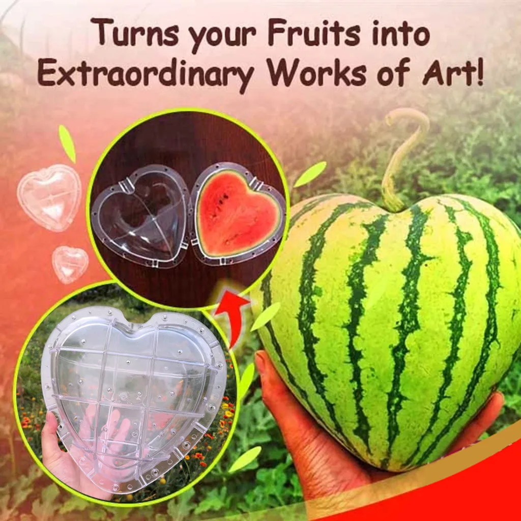 Садовые принадлежности формирующие форму поднос для выращивания фруктовых