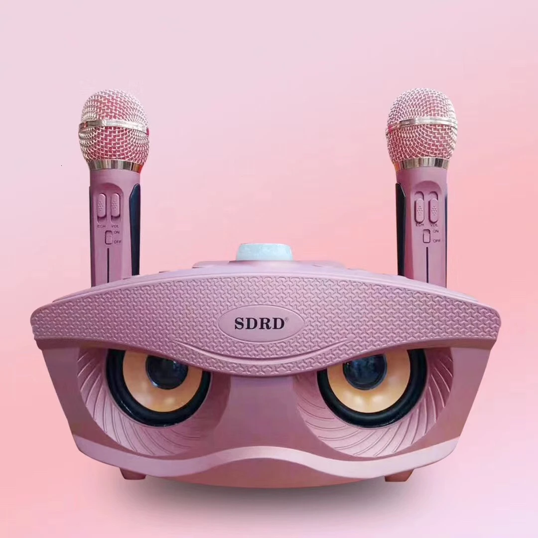 SD306 двойной Bluetooth динамик с 2 беспроводными микрофонами Открытый Семейный KTV стерео микрофон большой звук 20 Вт SDRD Sd 306 набор динамиков