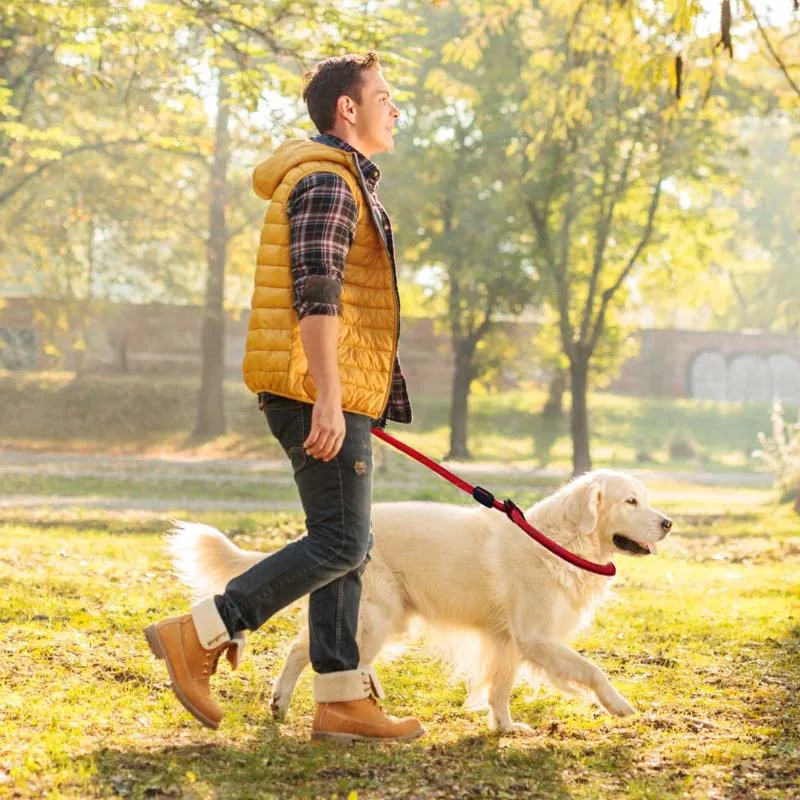 MySudui Светоотражающий Поводок для собак нейлоновый ремень поводок бега светится в