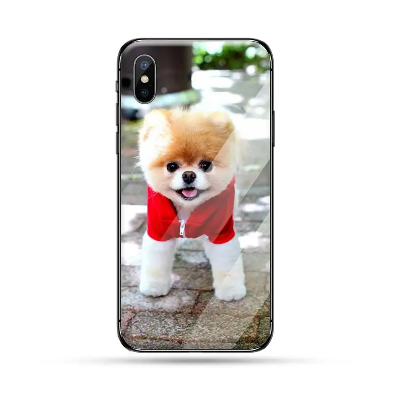 

Hiromi dog cute animal Phone Case Tempered glass For iphone 6 6S 7 8 plus X XS XR 11 12 PRO MAX Mini