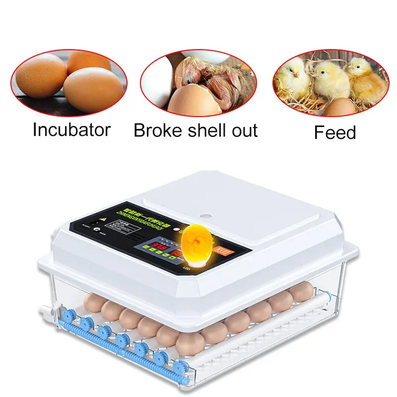 

220V 36 Eggs Chicken Automatic Eggs Incubator Bird Quail Brooder Farm Hatchery Incubator Brooder Machine Egg Hatchers