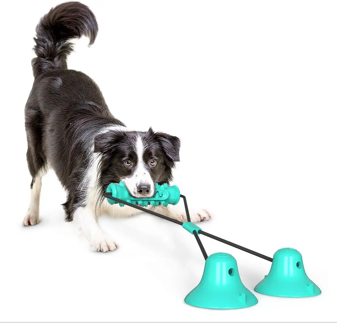 

Dog Toy