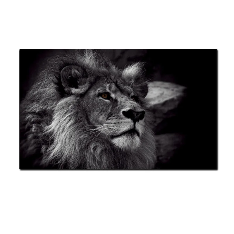 lion Большой размер, черный и белый лев, живопись, печать на холсте, плакат, настенные картины для гостиной, Современное украшение, картины с животными - Цвет: lion