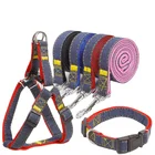 Поводок и ошейник для собак, нейлоновый, регулируемый, для маленьких и средних собак