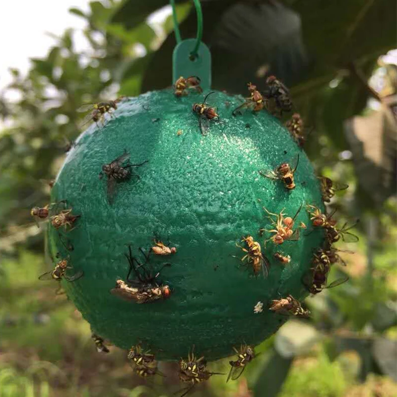 Липкая шаровая ловушка желто-зеленая для мух уничтожения больших фруктов дыни