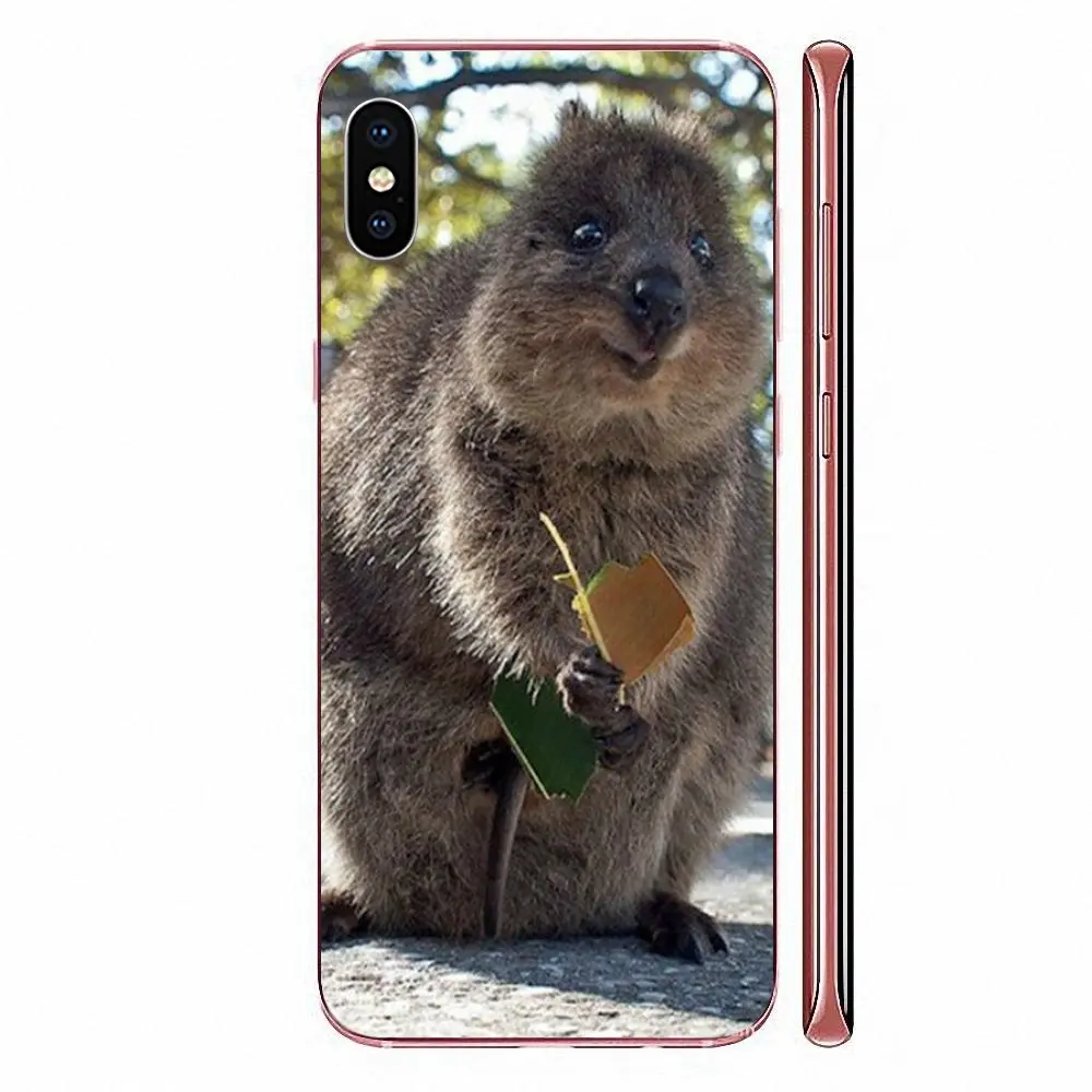 Мягкий чехол для телефона из ТПУ с изображением животных Quokka Xiaomi CC9E Mi3 Mi4 Mi4i Mi5 Mi 5S 6