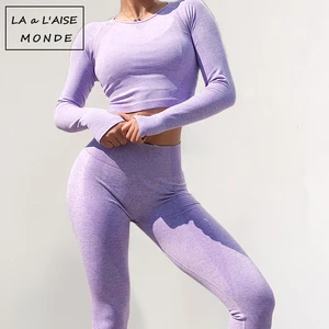 Бесшовный комплект из 2 предметов, женский спортивный костюм, одежда для тренировок в тренажерном зале, короткий топ с длинным рукавом и леггинсы для ягодиц, комплект для йоги