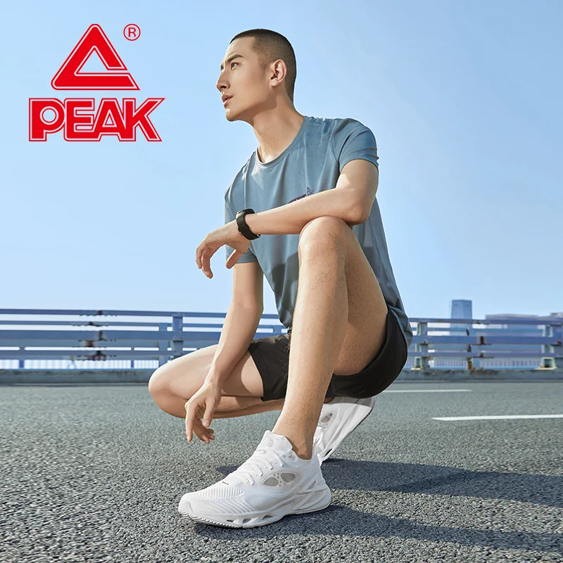 Мужские кроссовки для бега PEAK новинка 2020 легкие дышащие удобные уличная модная