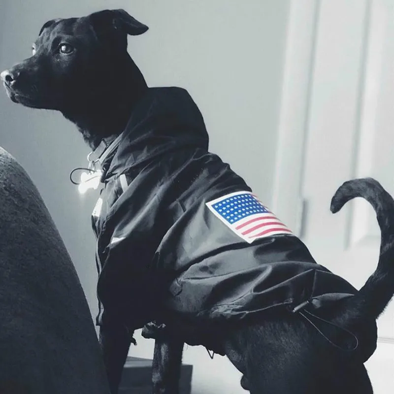 Аляска для больших собак Размеры Черный Спорт на открытом воздухе ветровка