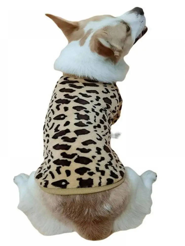 Новые товары для осени и зимы онлайн толстый свитер с леопардовым принтом