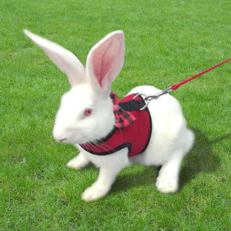 

Rabbit Totoro Rope Slip Bunny Pet Rabbit Traction Hamster Small Lop Walking Rabbit Pulling Rope Harness Rabbit Pulling Rope Rabb