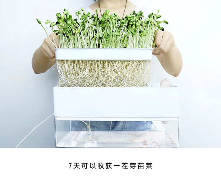 Экологичный резервуар для золотой рыбки без воды гостиной дома настольного