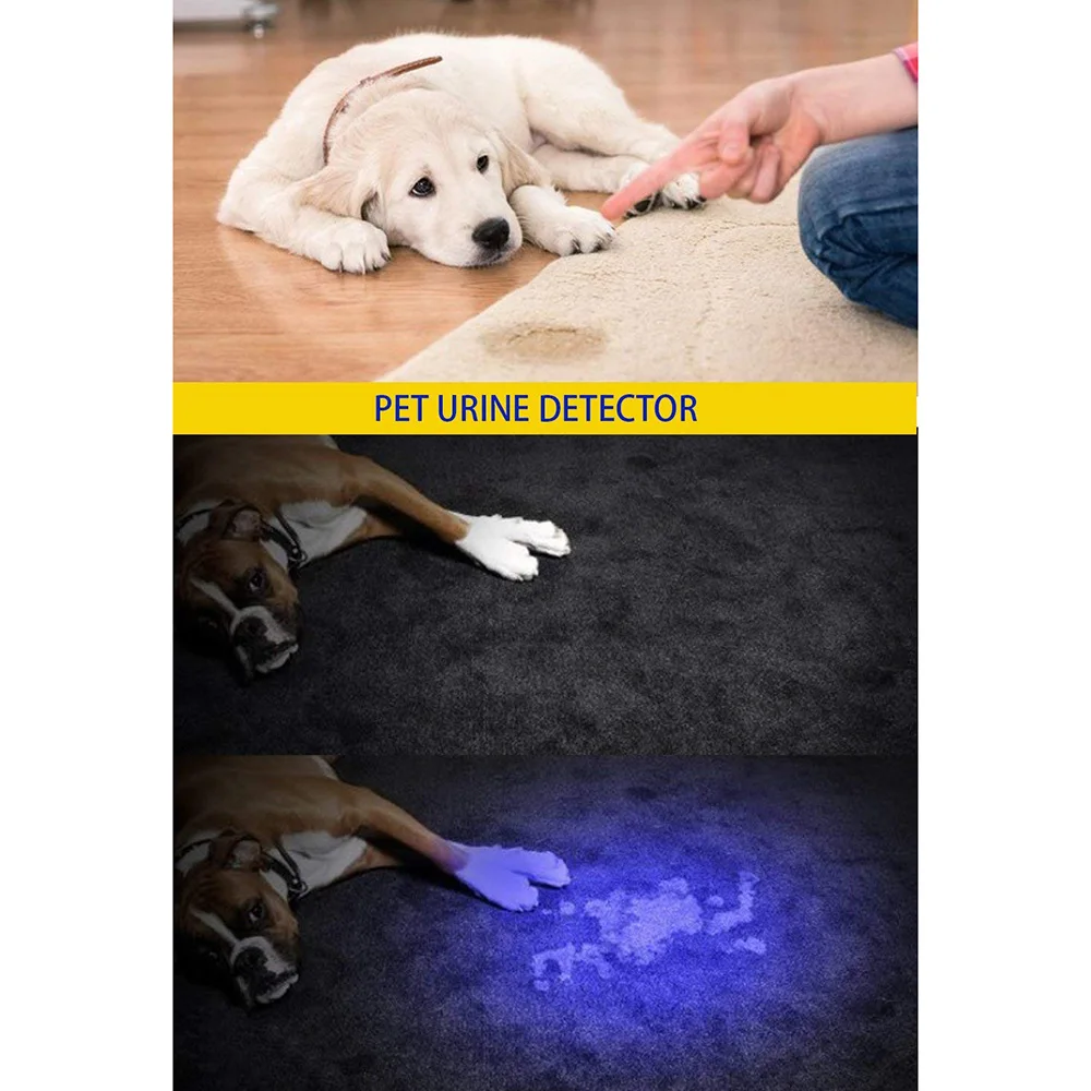 

Mini Flashlight Ultraviolet Torch Purple-Light Flashlight 3 Modes USB Rechargeable Pet Urine Stains Detector Scorpion Hunting