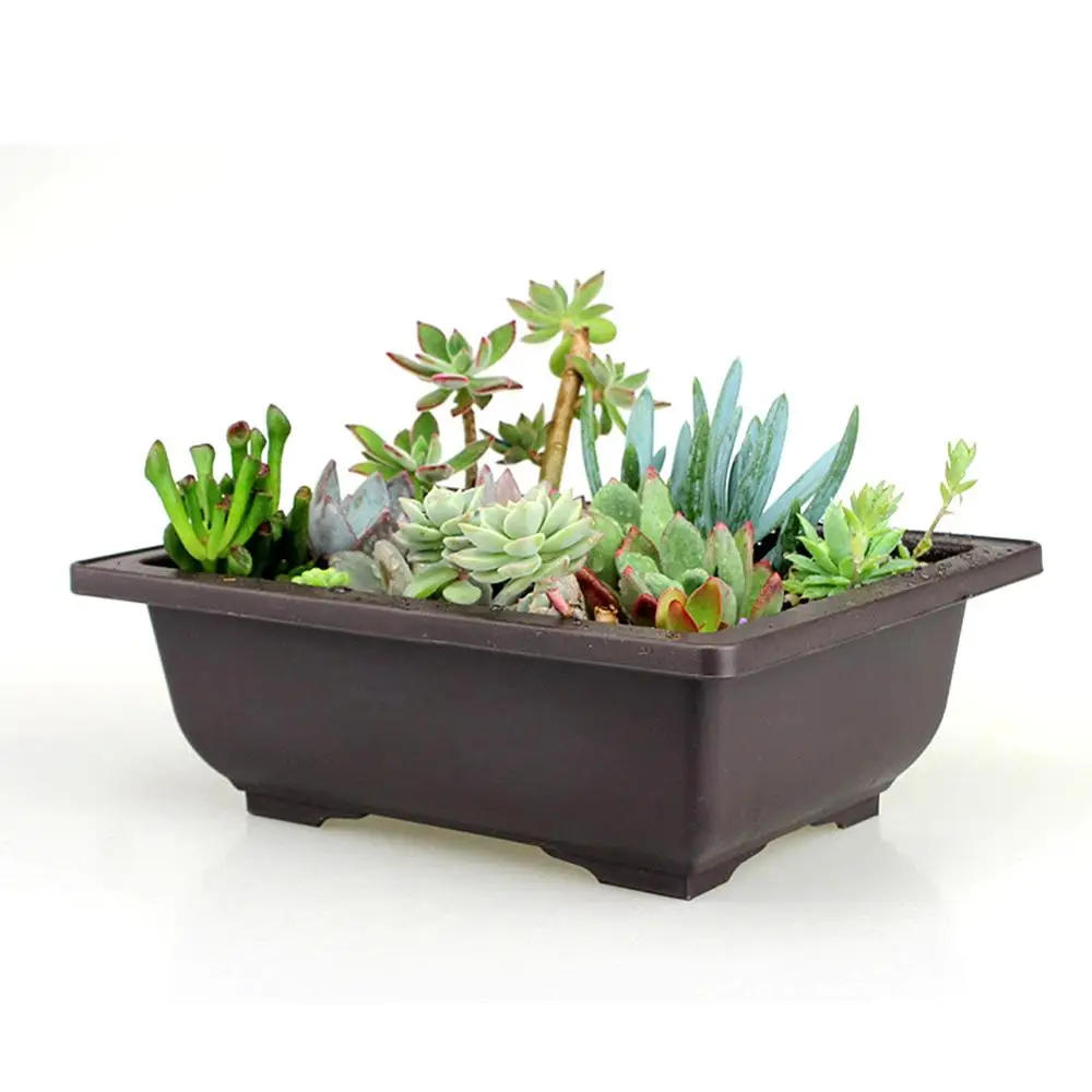 Креативный Настольный цветочный горшок квадратный для бонсай