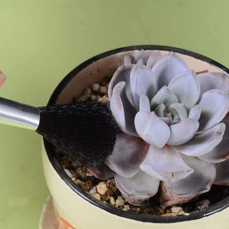 

13Pcs/Set Succulent Transplanting Mini Garden Planting Bucket Shovel Hand Tools Bonsai Set & 1x Garden Tool Bag