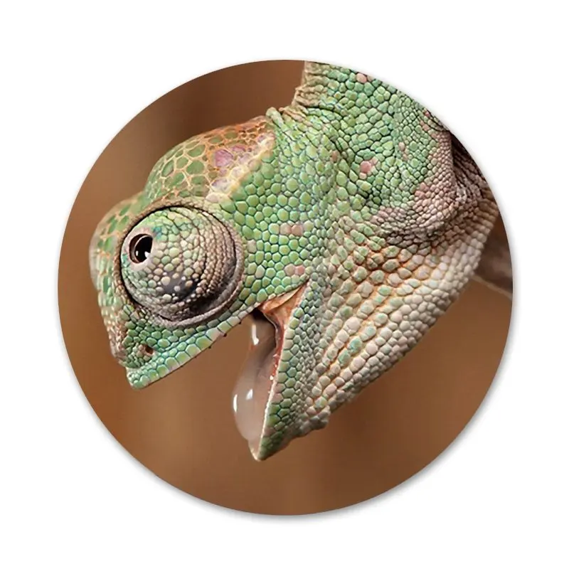 

lizard animal green Badge Brooch Pin Accessories For Clothes Backpack Decoration gift 58mm