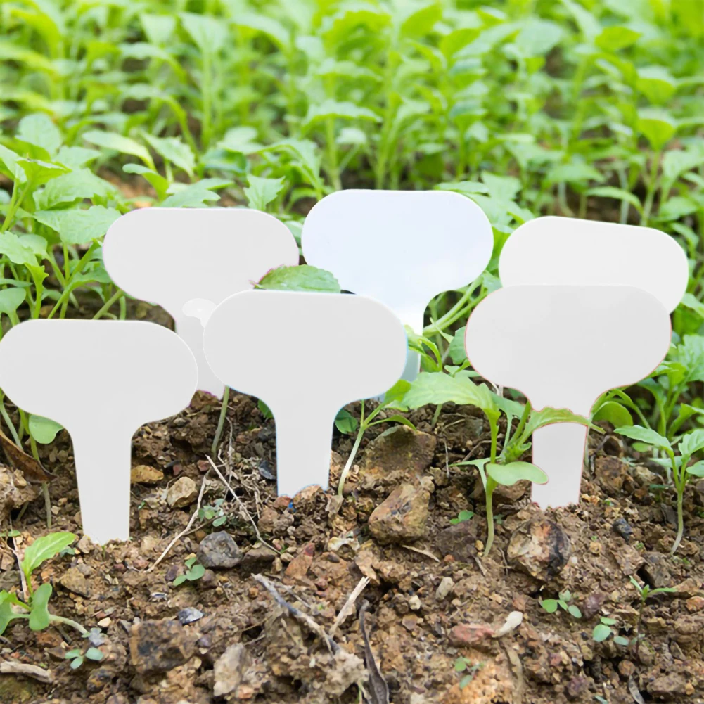 

100 Pcs Horticultural Label Waterproof Plastic Greenhouse Flowerpot Sorting Lable Growth Recording T-shaped Ground Insert Label