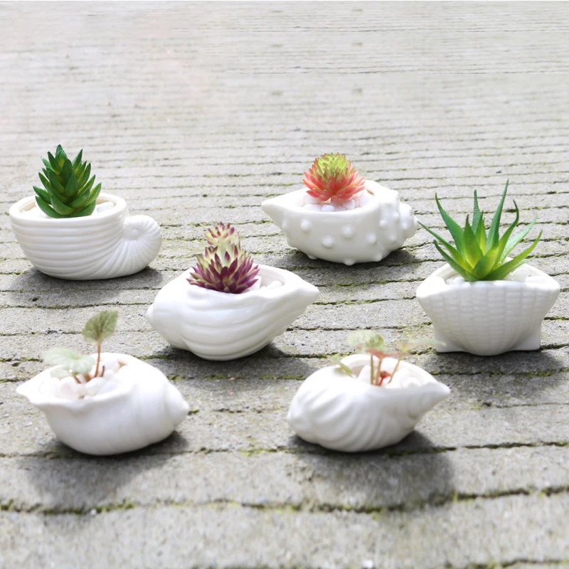 

A Set Ocean White Shell Cap Succulents Flowerpot Mini Thumb Green Plant Ceramic Flower Pot Pure Handicrafts Garden Accessories