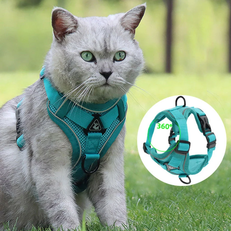 

Comfortable Vest-style Pet Chest Strap Polyester Seat Belts And Leashes For Cats Breathable Cat Walking Leash Adjustable