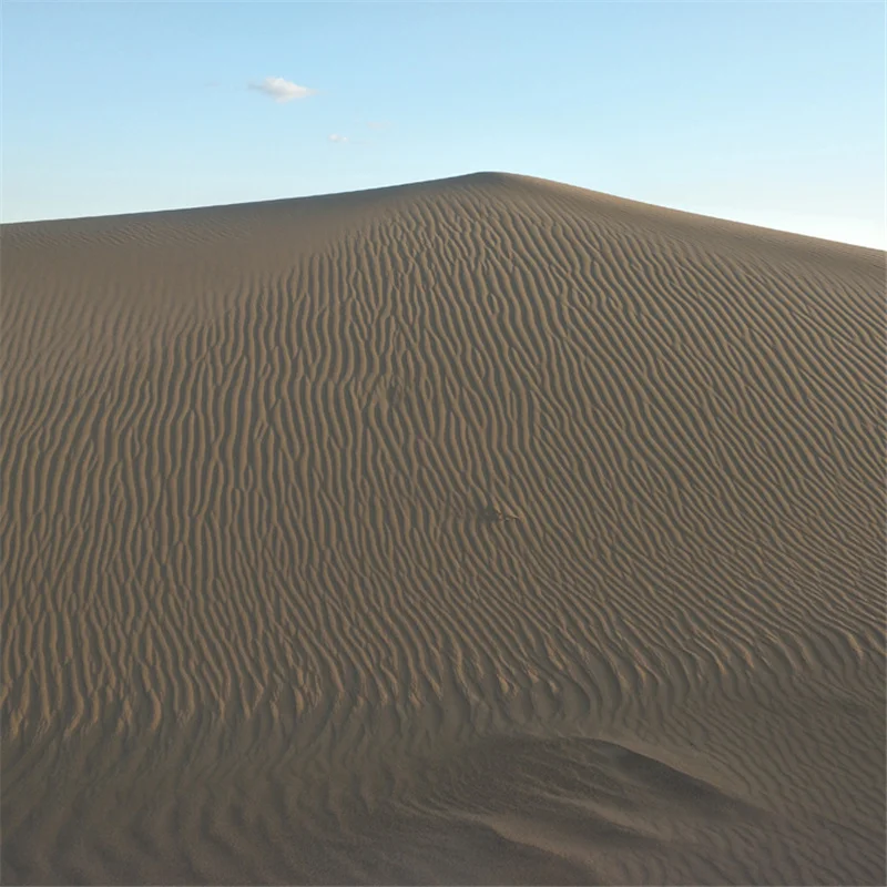 ZOCDOU 300 г пустынный песок провинция Ганьсу Китай найдите пески украшение для Fishbowl