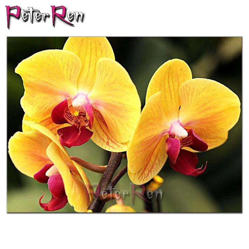 

5D DIY Diamond Painting Orchid flower Resin Mosaic Cross Stitch 3D Rhinestone Full Square/Round Drill Embroidery Home Decor Gift