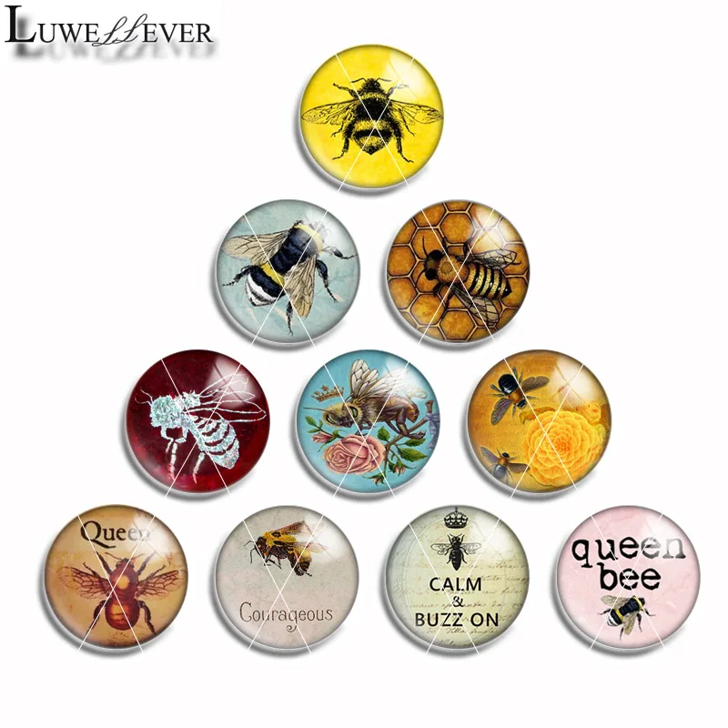 

10mm 12mm 14mm 16mm 20mm 25mm 481 Bee Mix Round Glass Cabochon Jewelry Finding 18mm Snap Button Charm Bracelet