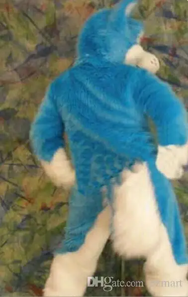 ohlees actual picture anima blue Border Collie Husky Dog l fox Mascot costume for Halloween party activity Fancy Costume Outfit |