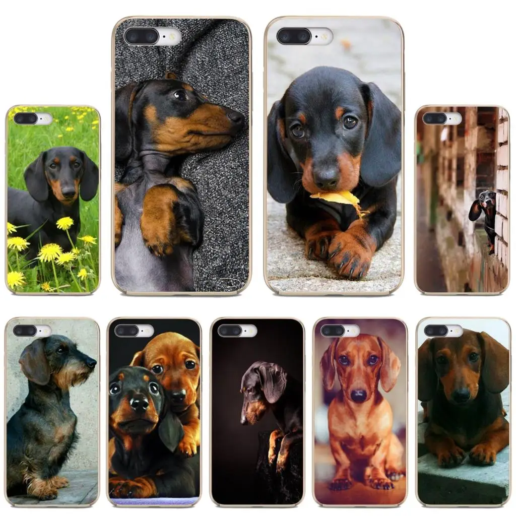 

Dachshund-Teckel-Dackel-Dog For Apple iPhone 10 11 12 Pro Mini 4S 5S SE 5C 6 6S 7 8 X XR XS Plus Max 2020 Soft TPU Case