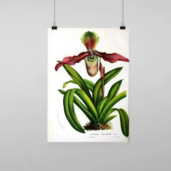 

Botanical FLowers Vintage Reproduction Wall Art Decor Poster Metal Tin Sign