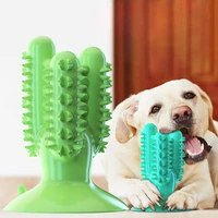 cactus pet dog toys brush dental chew toys for dogs healthy fresh medium large breed dog molar toothbrush stick pet supplies