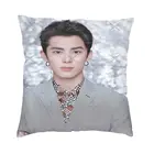 Dylan Wang V4 Подушка Dakimakura чехол для подушки, чехол для подушки, чехол для кровати, чехол для подушки, сатиновый чехол