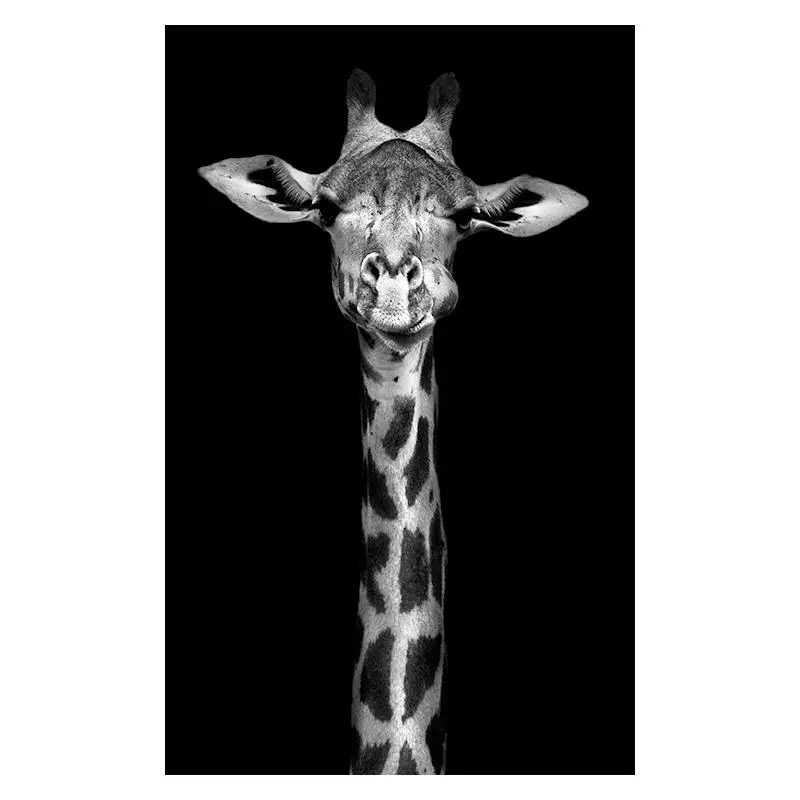 

Canvas Painting Animal Wall Art Lion Elephant Deer Zebra Posters and Prints Wall Pictures for Living Room Decoration Home Decor