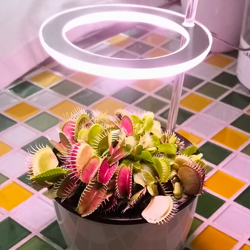 Бытовой рост растений лампа USB порт Ангел кольцо полный спектр солнцеподобных