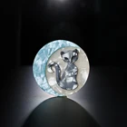 Акриловая брошь в форме Луны с лисой заколки ручной работы для женщин, ацетатное волокно, булавки на лацкан для Хэллоуина, подарки на вечевечерние, бижутерия