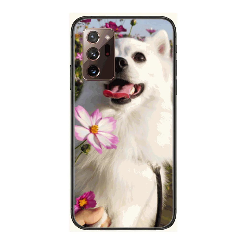 

Pet dog Phone Case cover hull For SamSung note20 10 9 8 4 pro plus black prime soft bumper Transparent