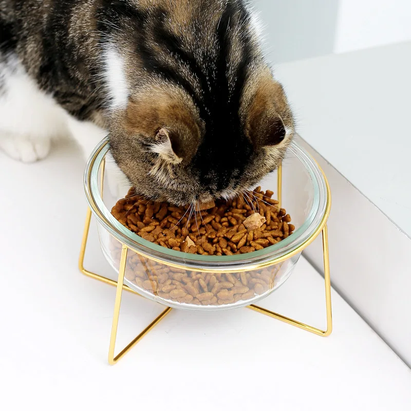 

Pet Supplies Glass Cat Bowl Oblique Mouth Tilt Dog Food Bowl To Protect The Cervical Spine with Iron Frame Support Accessories