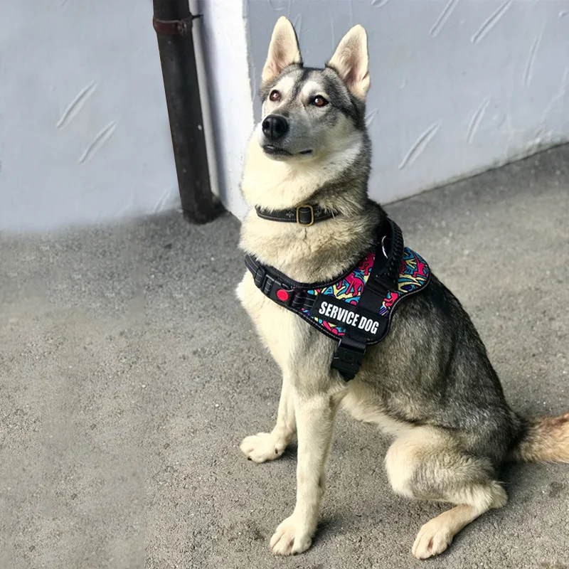 Поводок для собак K9 Светоотражающие дышащий Регулируемый не тянуть шлейка