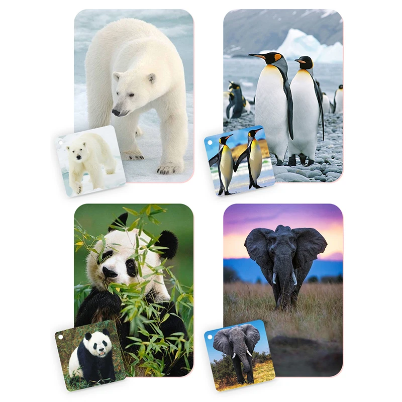 108 шт. Детские флеш-карты с животными | Игрушки и хобби