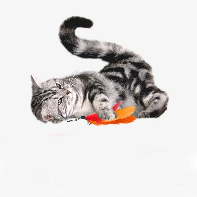

Retractable funny cat stick Pets entertainment toy pet cat feather tease and exercise 5Pcs replacement head set funny sticks