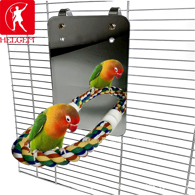 

Hanging Bird Toy Colorful Realiable Entertainment Sefaty Fixing Bracket for Parrot