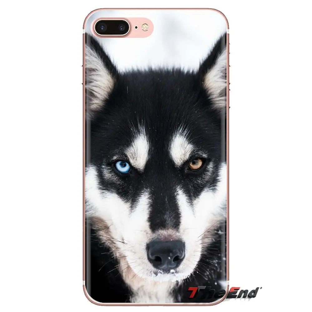 For Huawei P Smart Y6 P8 P9 P10 Plus Nova P20 Lite Pro Mini 2017 SLA-L02 SLA-L22 2i Transparent TPU Cases Covers husky puppy dog |
