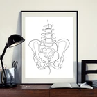 Абстрактный хиропрактический художественный принт Хиропрактик офисный Декор позвонки эскизный постер анатомический человеческий настенный художественный холст живопись