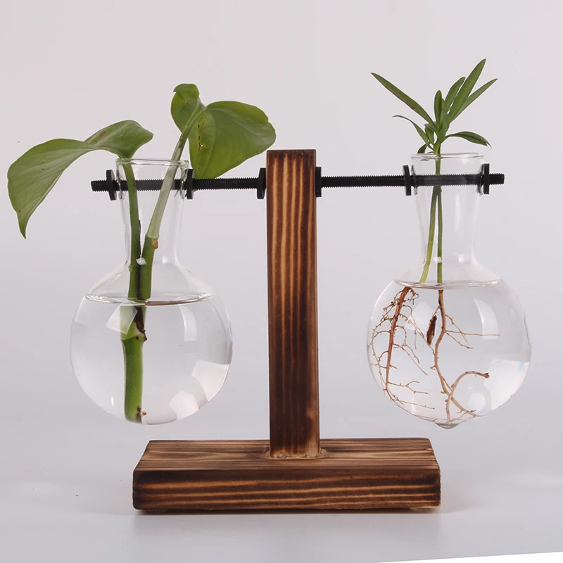 Гидропонная фотография Terrarium винтажный цветочный горшок прозрачная ваза