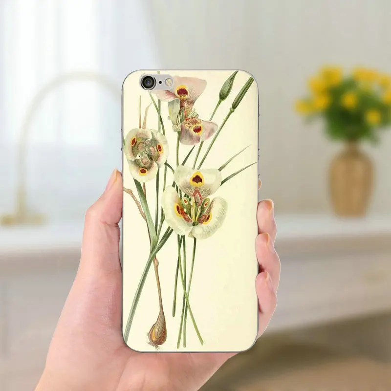 Матовые красивые цветные чехлы с цветочным рисунком для iPhone чехол 5 SE 5C блестящий
