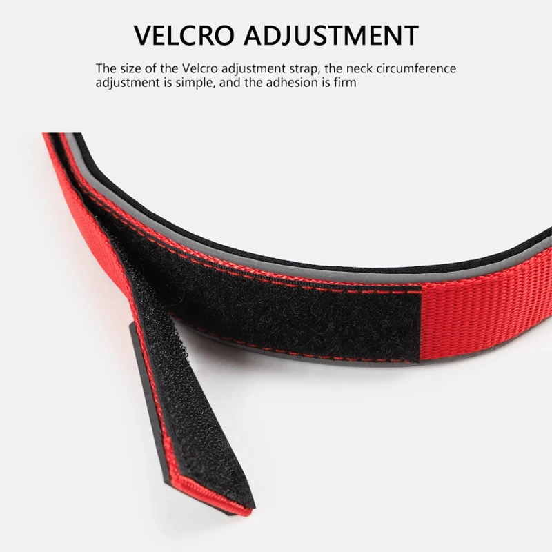 

Nylon Collars Harnesses Leads Weimaraner Dog Reflective Supplies of Velcro French Bulldog Yorkshire Terrier Luxury Collar Things